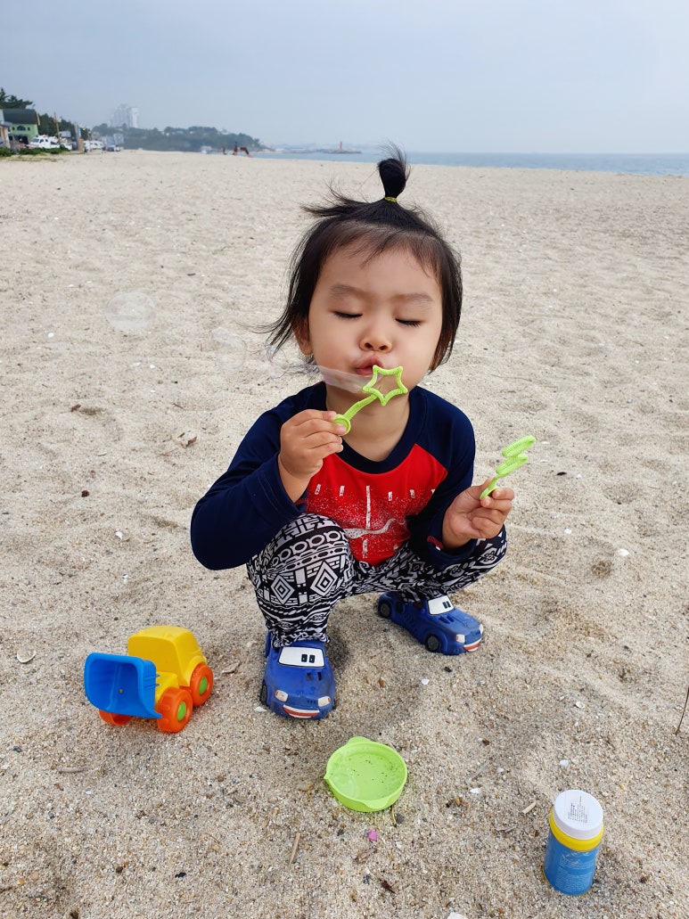 솔향기바다 이미지