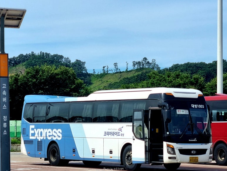 와이드대성 이미지