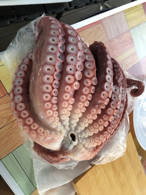 비슬산 숲속 오토캠핑장 이미지