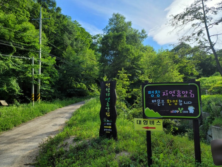 평창자연휴양림 이미지