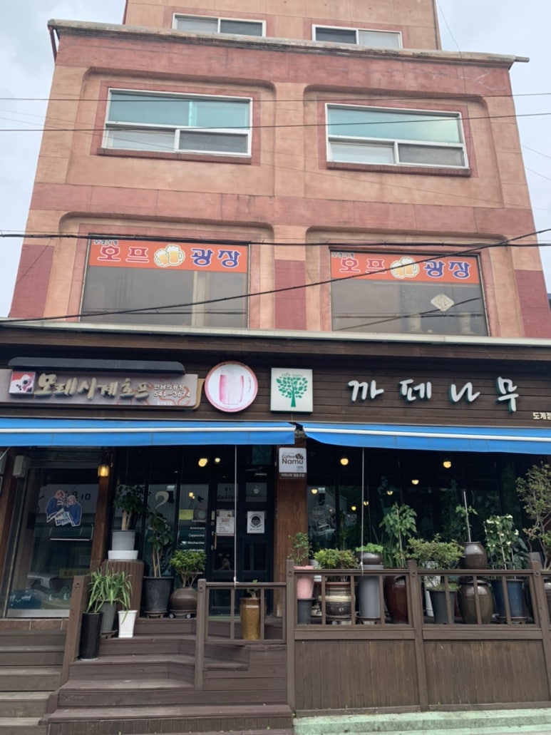 까페나무 이미지