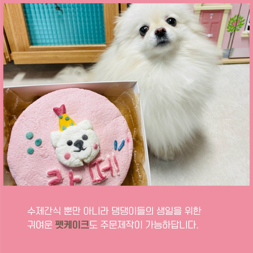 뚜드림 이미지