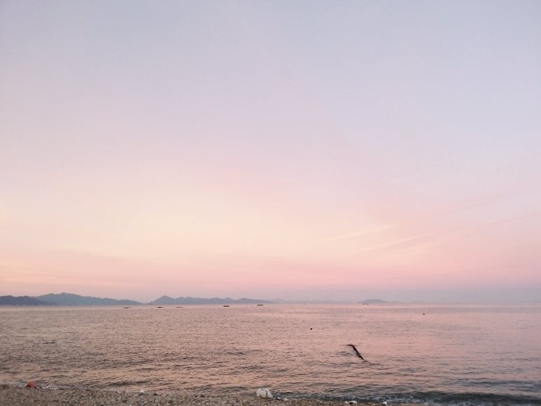 설이네바다펜션 이미지