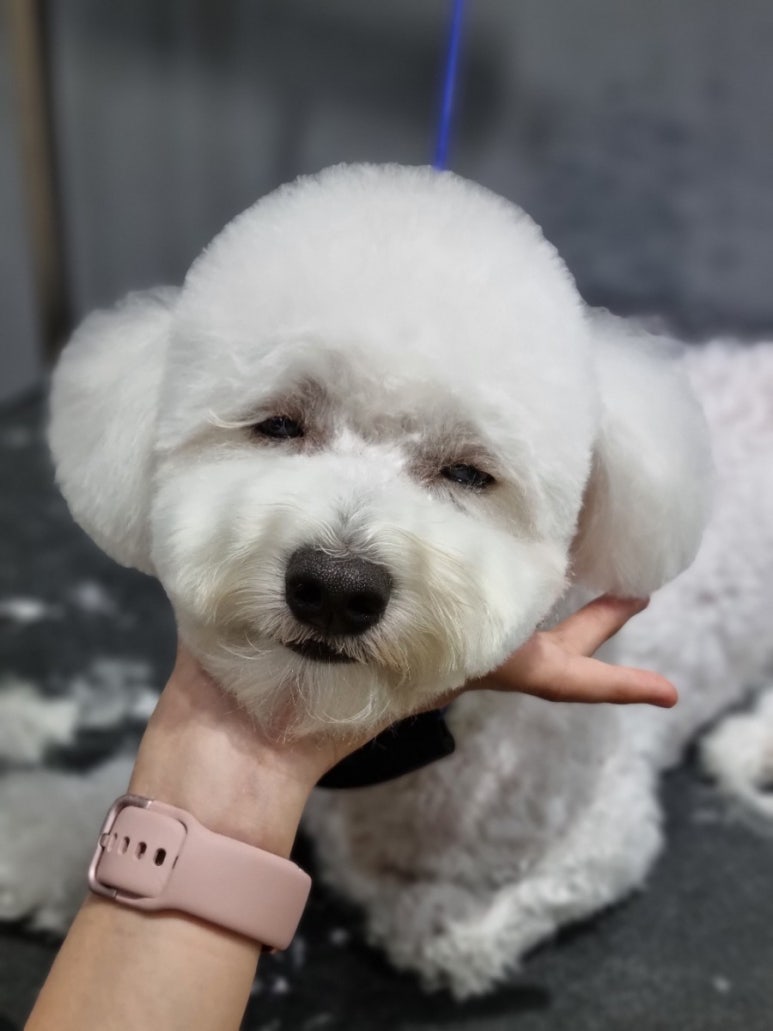 살롱3039 이미지
