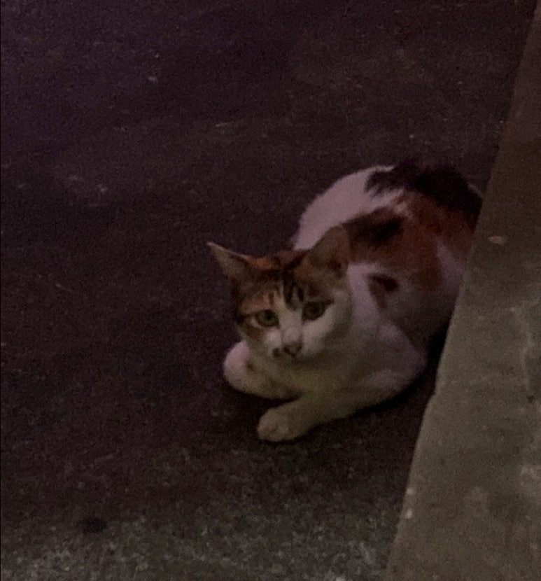 라화쿵부 창원내서점 이미지