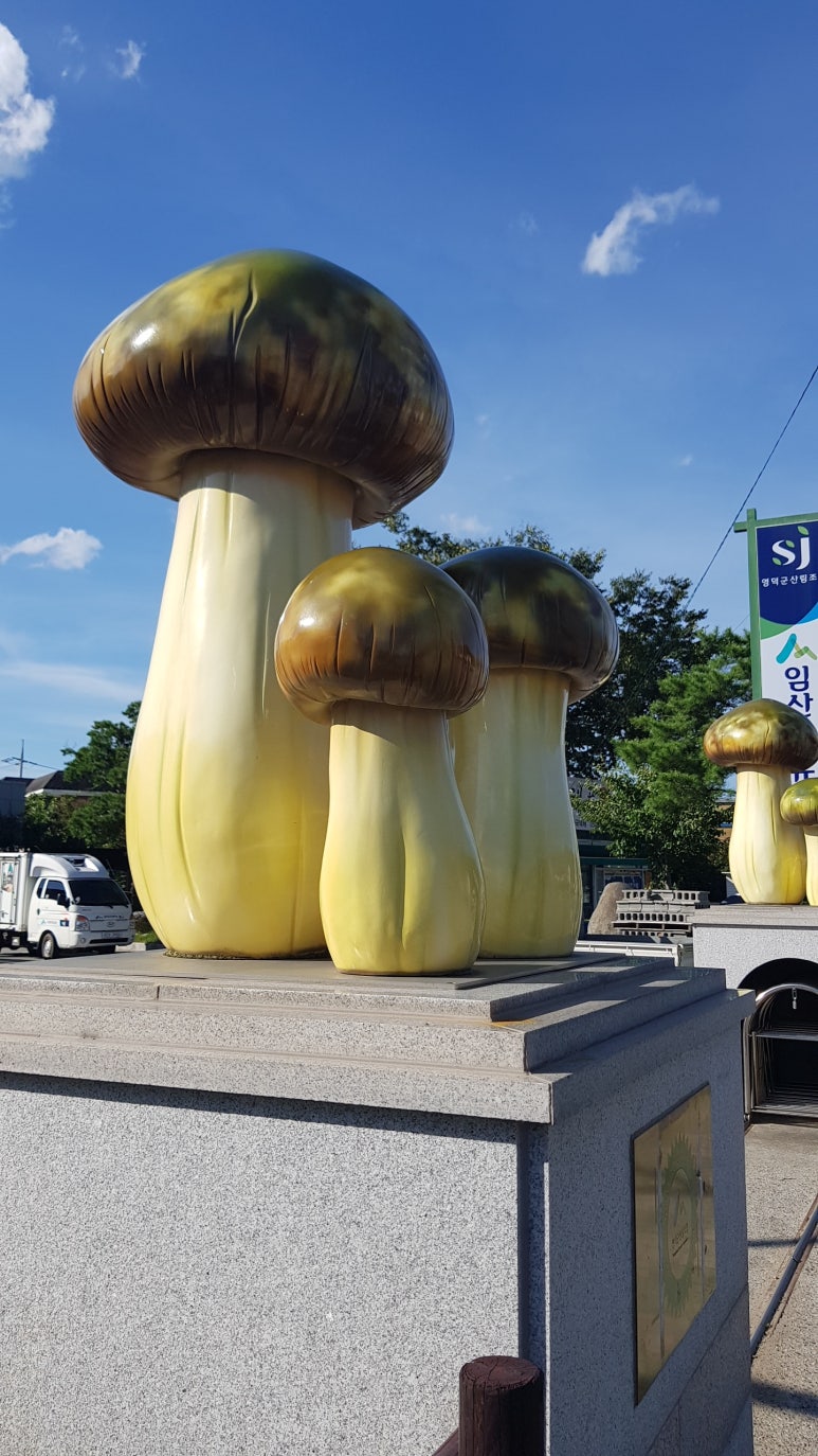 성덕식품 이미지