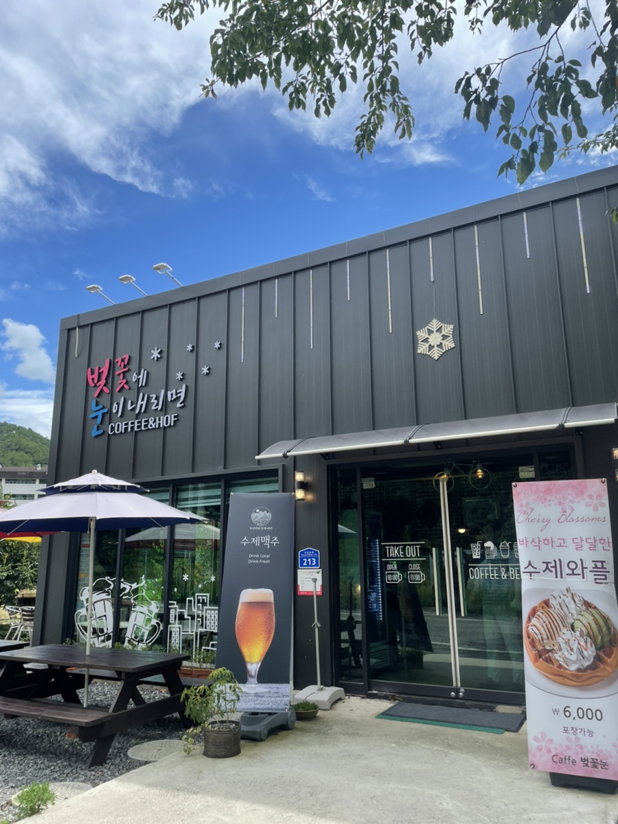 벚꽃에눈이내리면 이미지