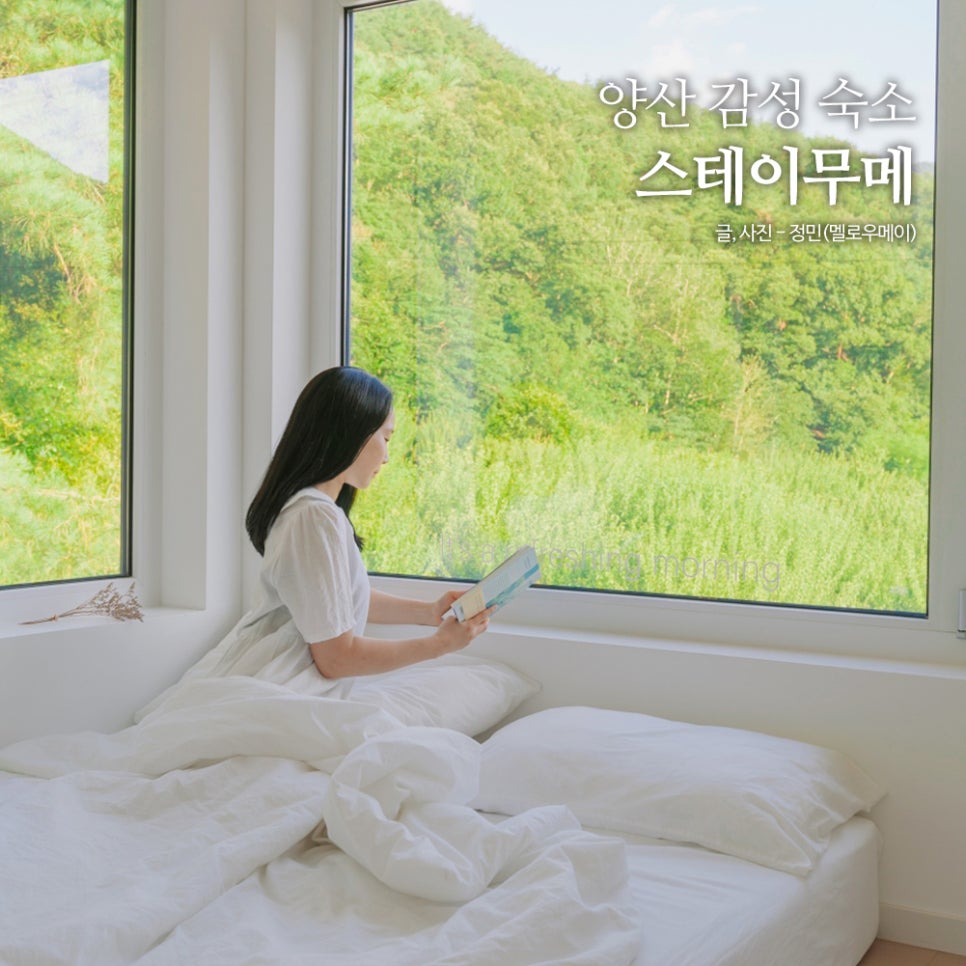 무메(mume) 이미지