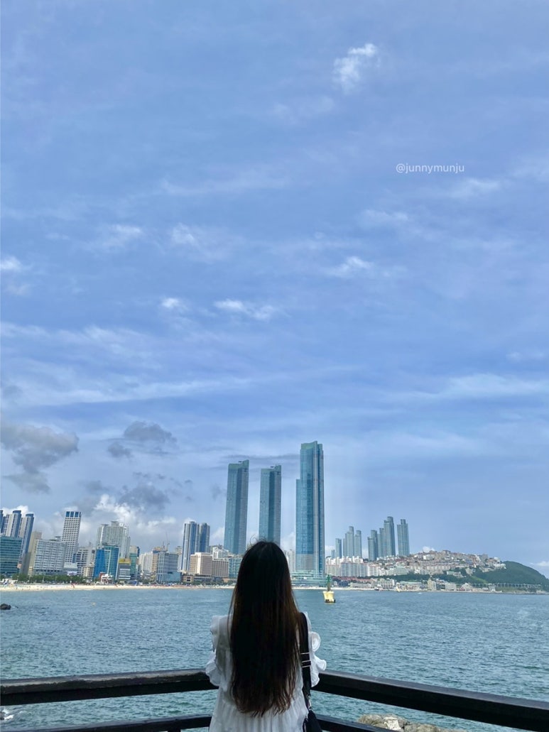 다나101 이미지