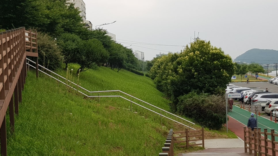 대구동구시니어클럽 이미지