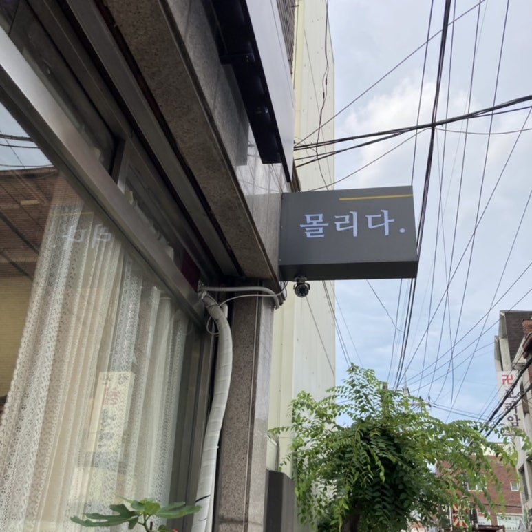 몰리고;몰리다 이미지