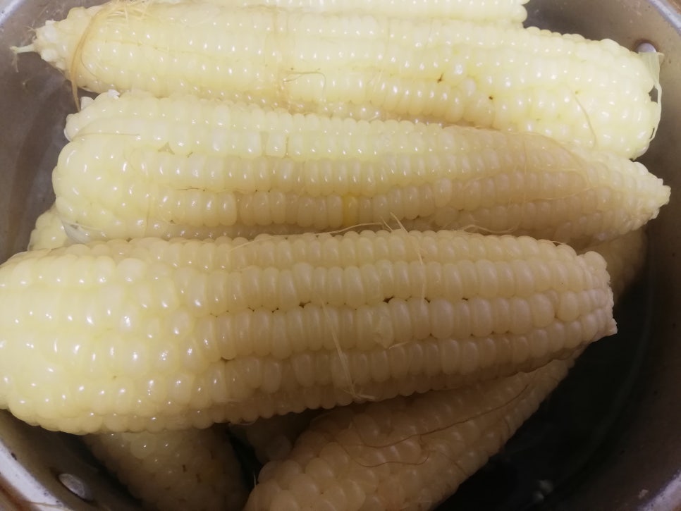 옥수수집김치 이미지
