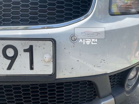 디케어 이미지