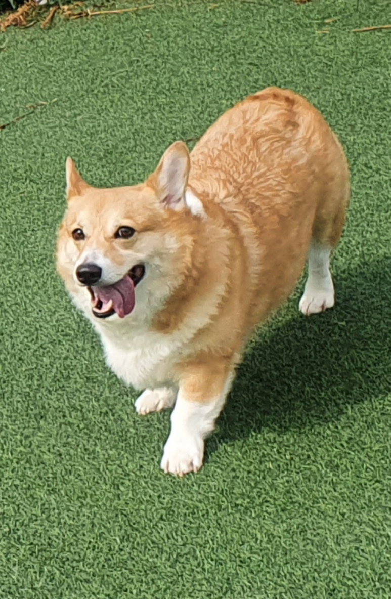 덩어리 이미지
