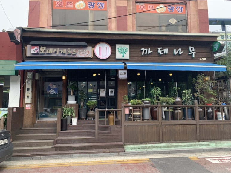 까페나무 이미지