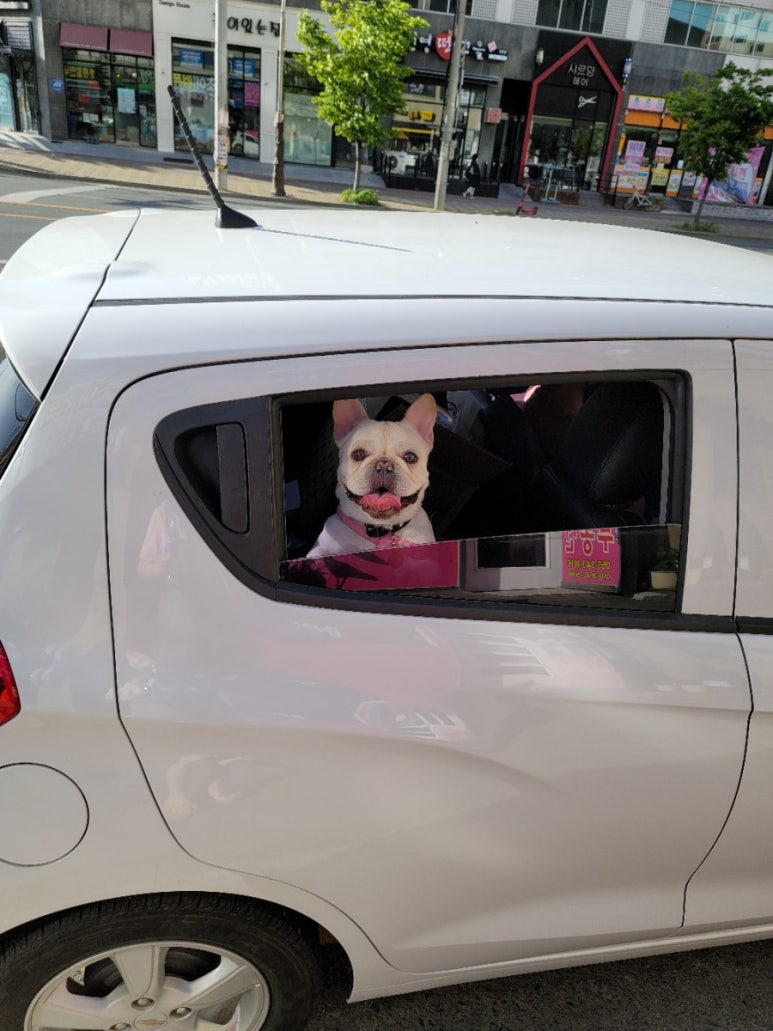 셀세모김해 이미지