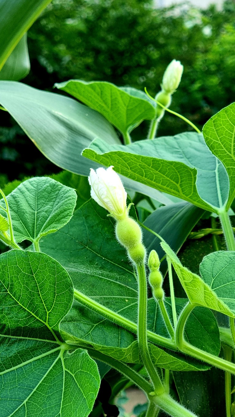 여문용품 이미지