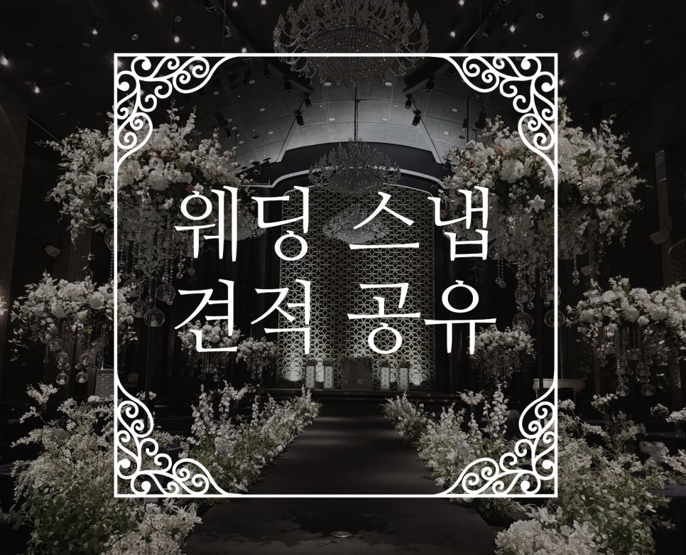 릴리안나 이미지