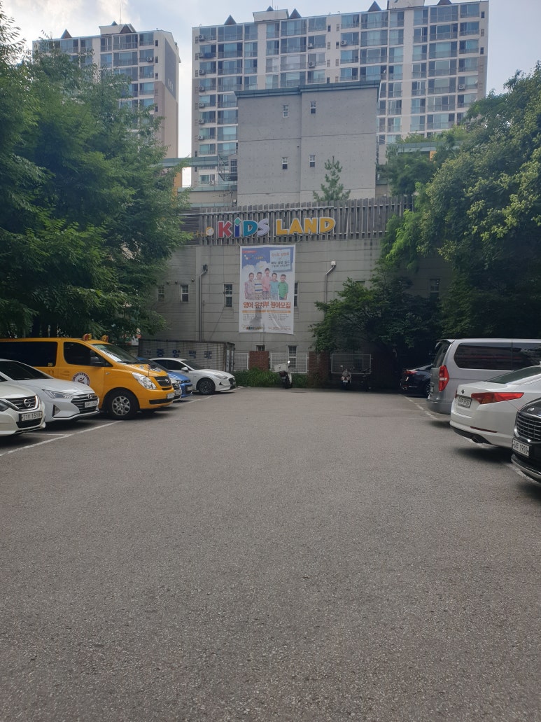 도도브로우 이미지