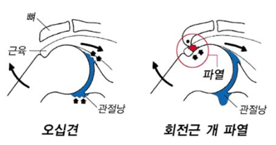 다인한의원 이미지