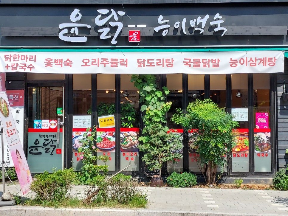 윤닭능이백숙 이미지