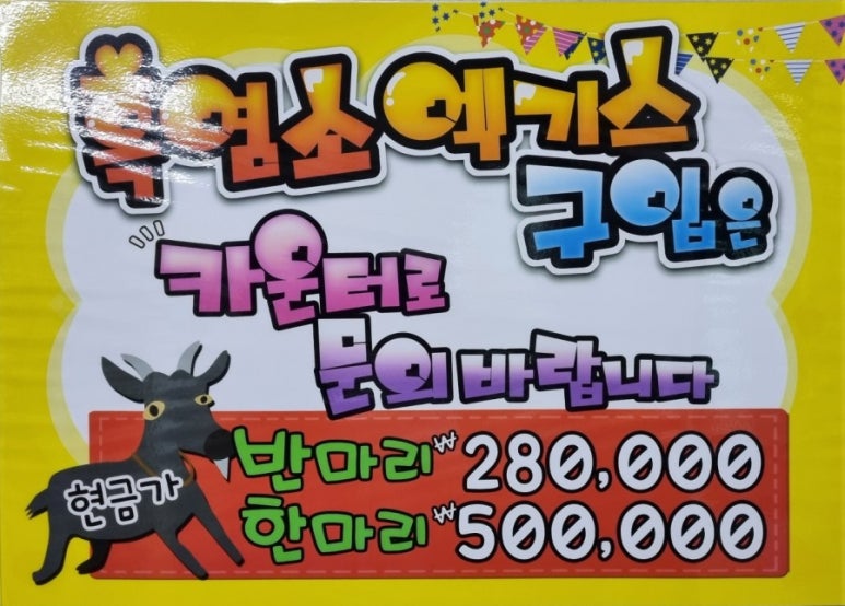 까망흑염소 이미지