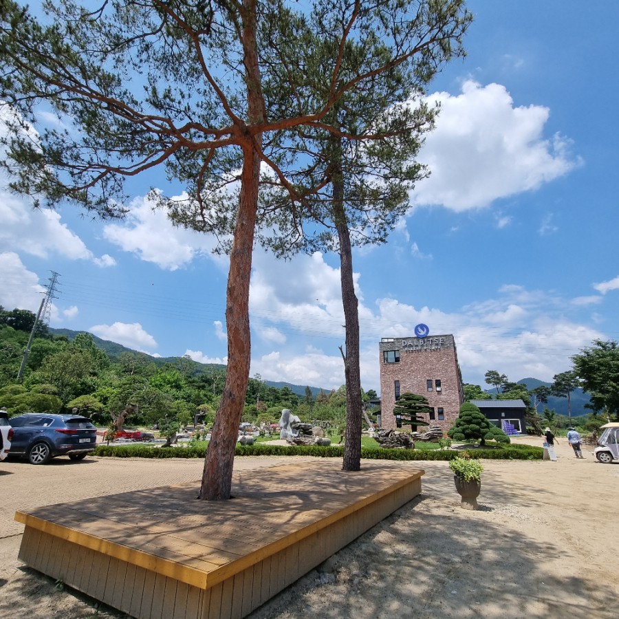 카페새로 이미지