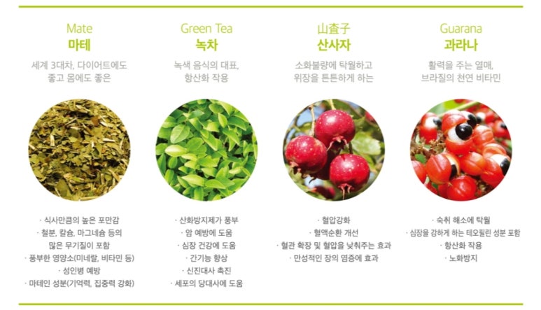 온성에너지 이미지