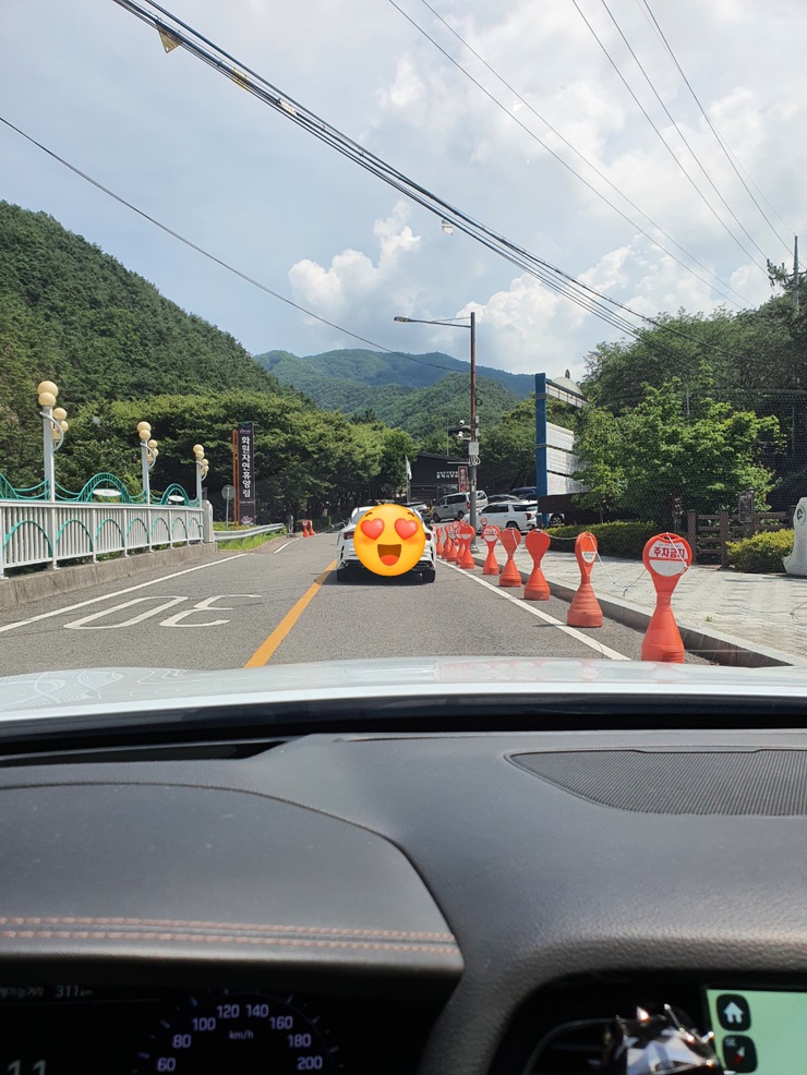 개구리화원 이미지