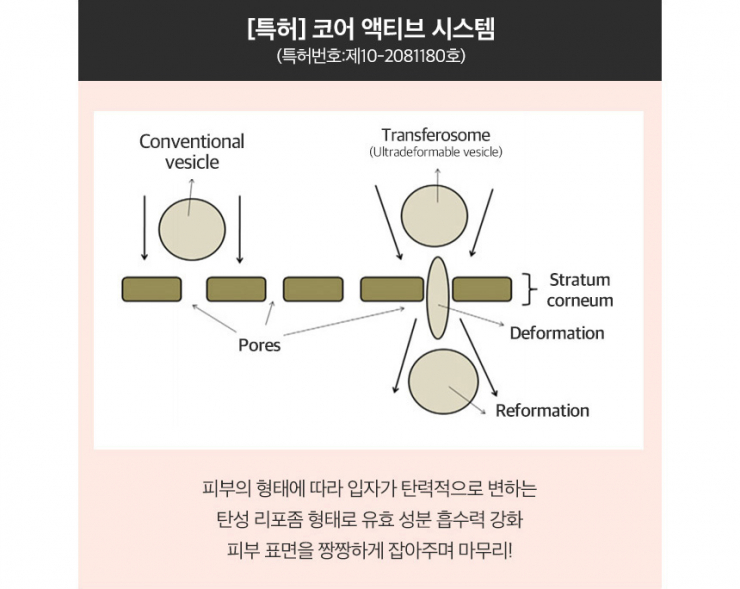 팔미시스템 이미지
