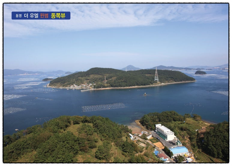 더윈썸 이미지