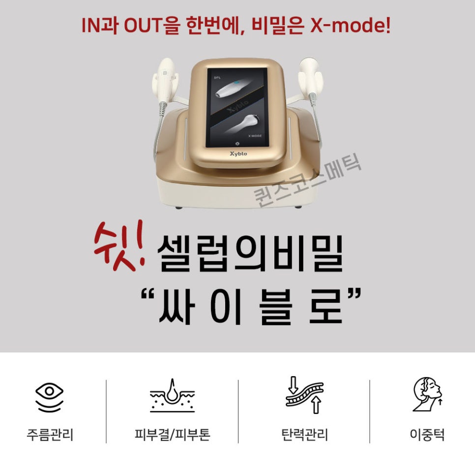 디피엘 이미지