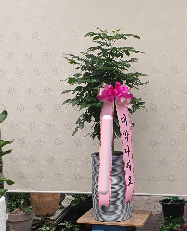 석문파워주유소 이미지
