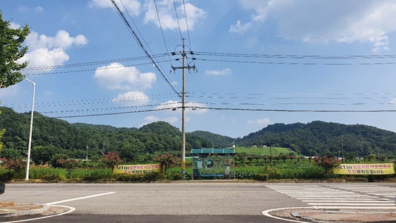 아르티오 이미지