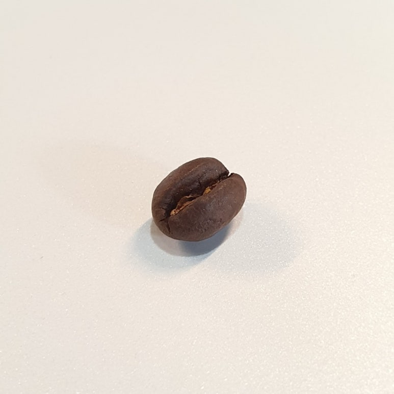 커피체리 이미지
