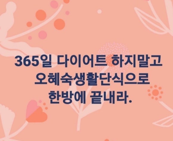 오혜숙생활단식채비지사 이미지