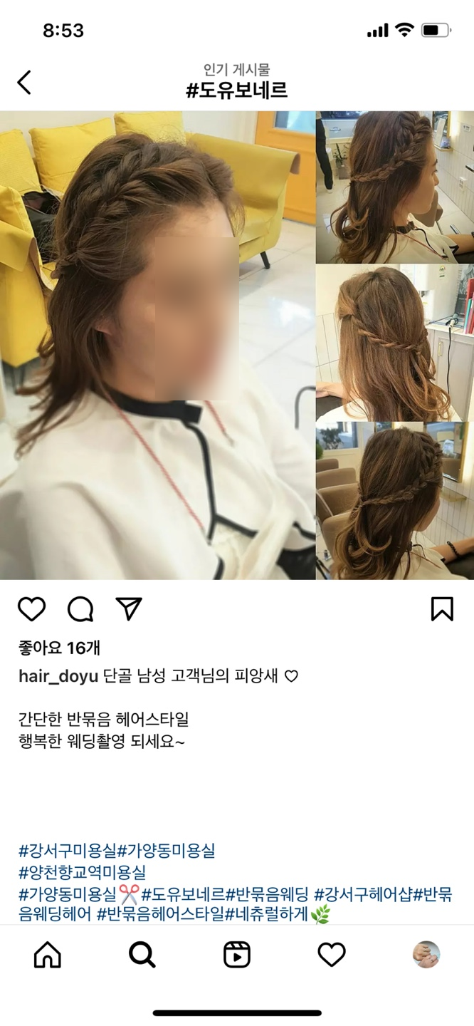 도유보네르 이미지
