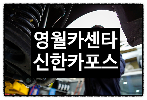 신한카포스 이미지