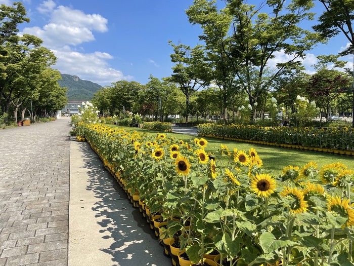 (주)해바라기 이미지