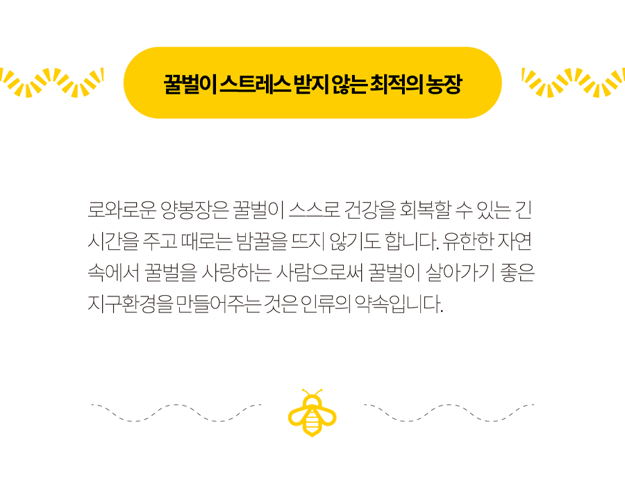 로와로운 이미지