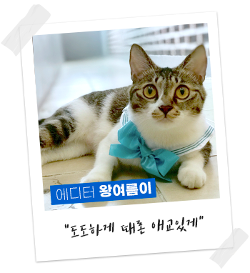 자작도캠핑장 이미지
