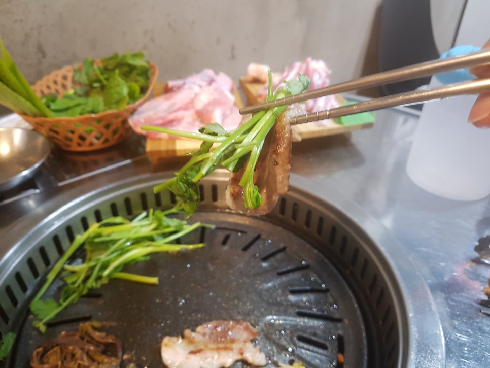 돼지세끼 이미지
