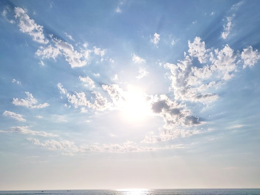 인셀덤강남중앙대리점 이미지