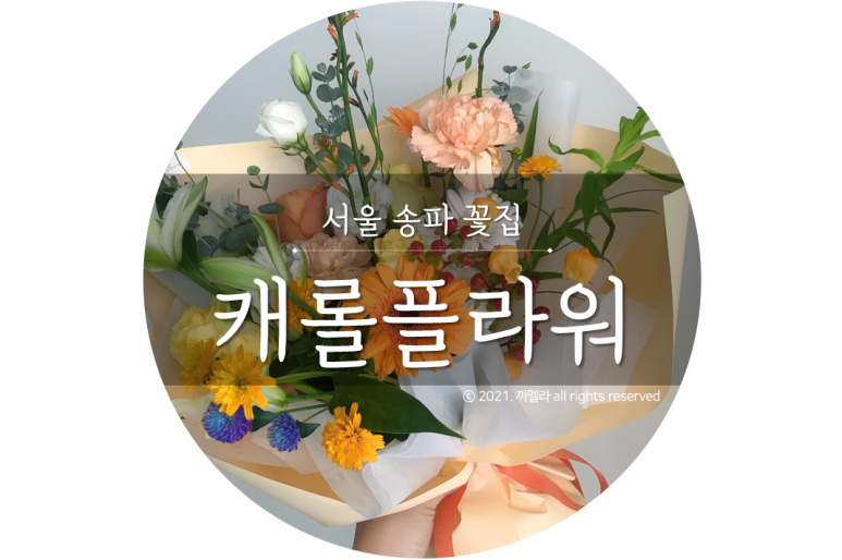 캐롤플라워 이미지