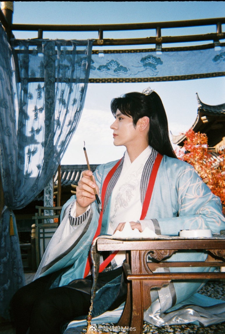 삼림영상 이미지