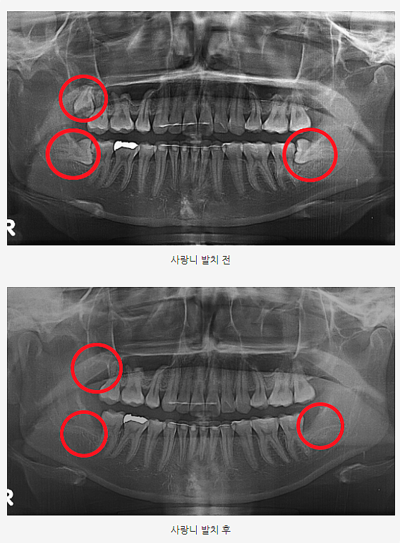 김민우치과의원 이미지