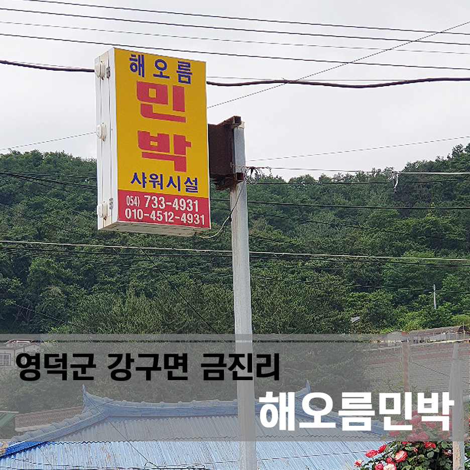 엘지민박 이미지