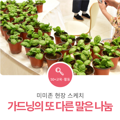 미미존 이미지