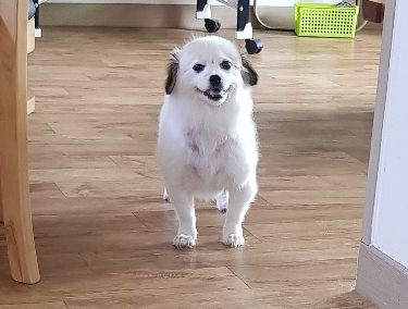 포스트다다 이미지