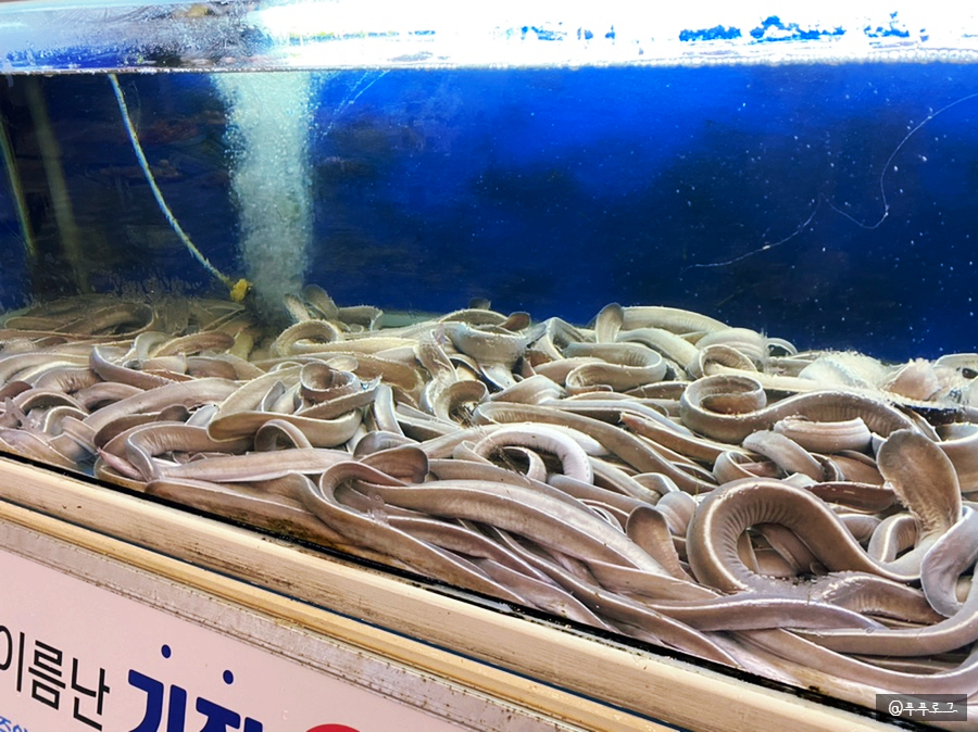부산기장산곰장어 이미지